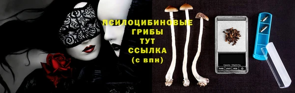 гашик Красноперекопск